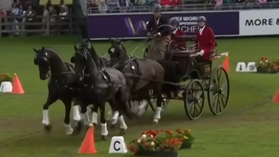 Ben Hur lässt grüßen - Diese Kutschen rasen um den WM-Titel