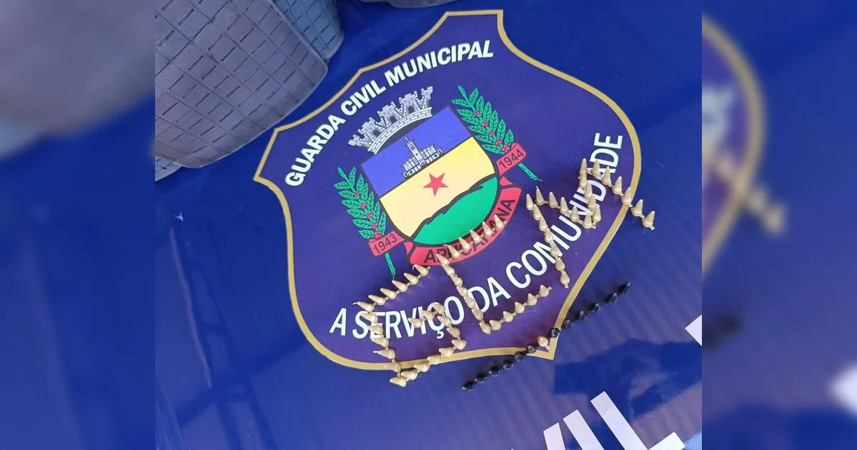 GCM apreende 75 pinos de cocaína após suspeito fugir de patrulha em Apucarana