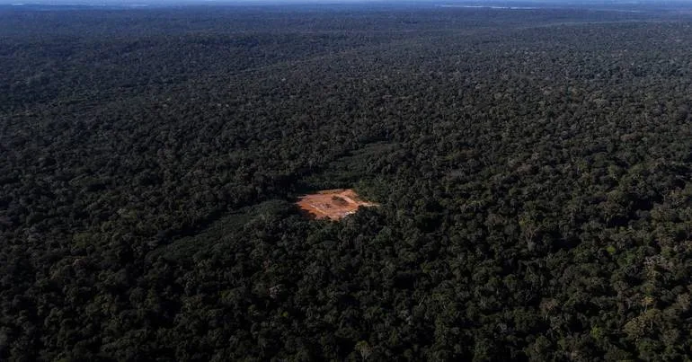 Desmatamento na Amazónia com a menor taxa da série histórica