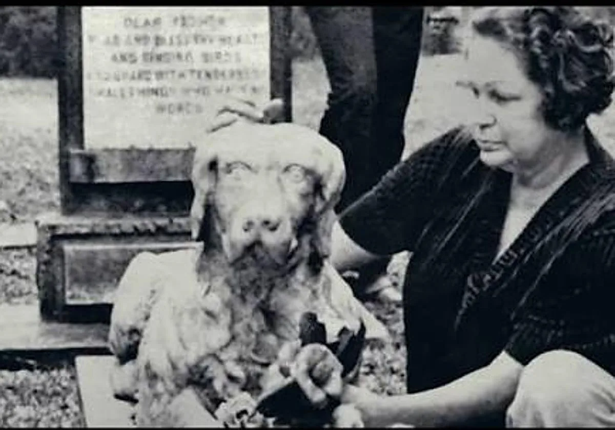 Si hay un cementerio de animales, alguien muere