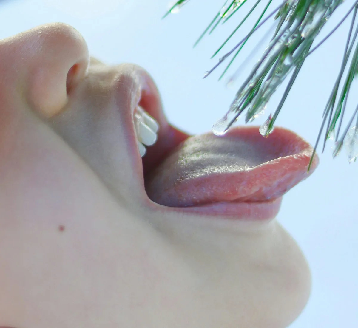 A poetic meditation on the tongue also explores violence and silence within families