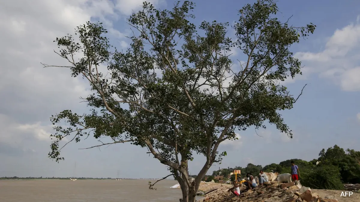 3 Killed, Over 16,000 Evacuated As Flood Situation Worsens In UP
