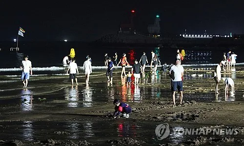 제주도 해안 간밤 또 열대야…제주시 최저 27도