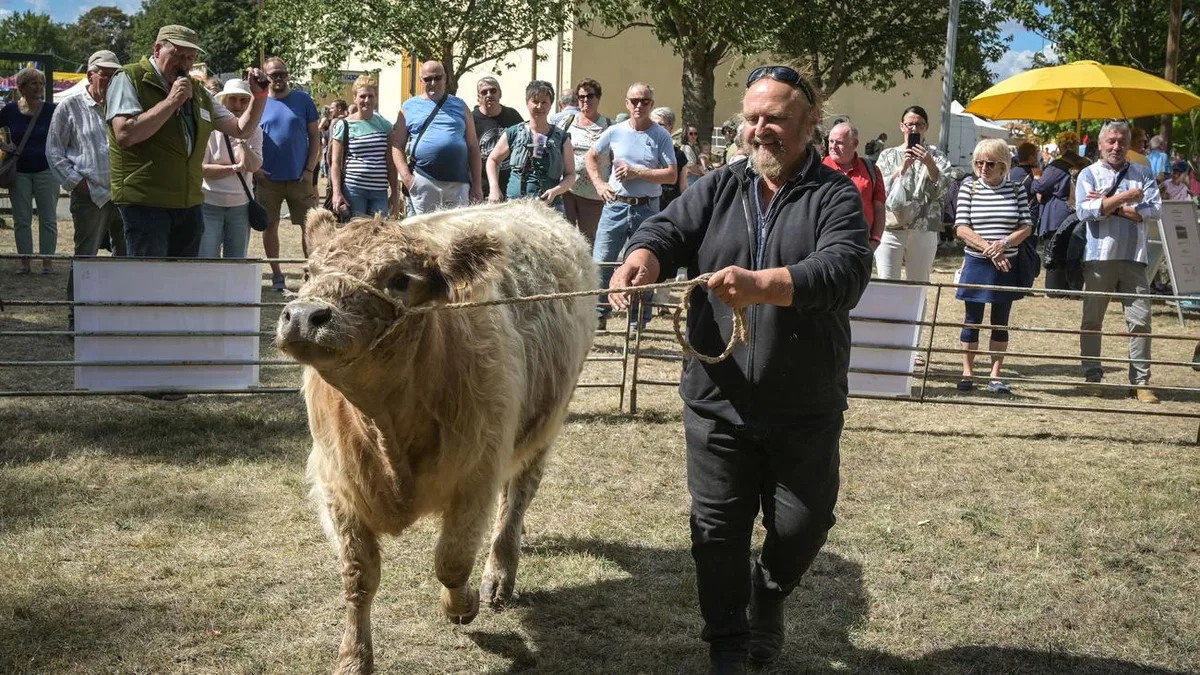 Tradition: Historisches Erntefest mit Dampfpflug und Erntekorso