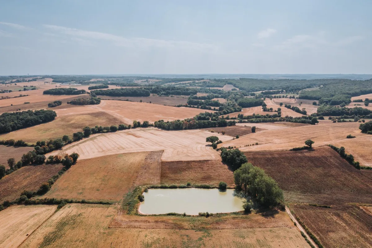 Plus de sorgho, moins de maïs… Comment les agriculteurs tentent de s’adapter face à la sécheresse