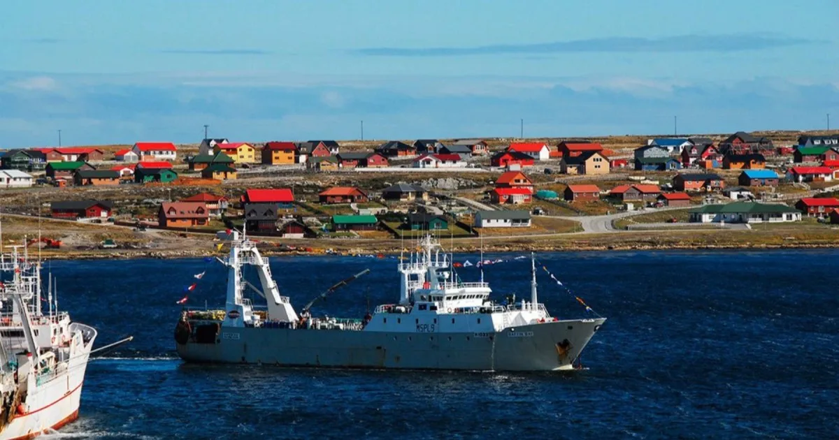 Islas Malvinas: denuncian por contrabando a pesqueras que operan en el mar argentino con licencias británicas