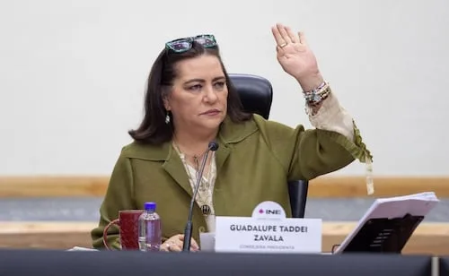 Otra vez Gutiérrez Mancilla, ahora, en el INE; Taddei amaga con sacarlo de sesión por desviarse del debate