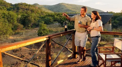 A Big Five safari without the long journey: why Gauteng travellers choose Pilanesberg