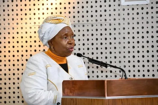 Dlamini-Zuma vs Mbalula: ANC veteran stands by vote-buying claims amid legal battle