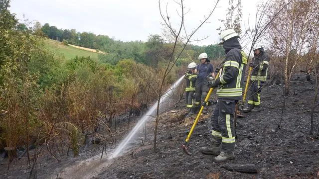 Brandbekämpfung: Schwickert: Klimawandel macht Waldbrände zur Herausforderung