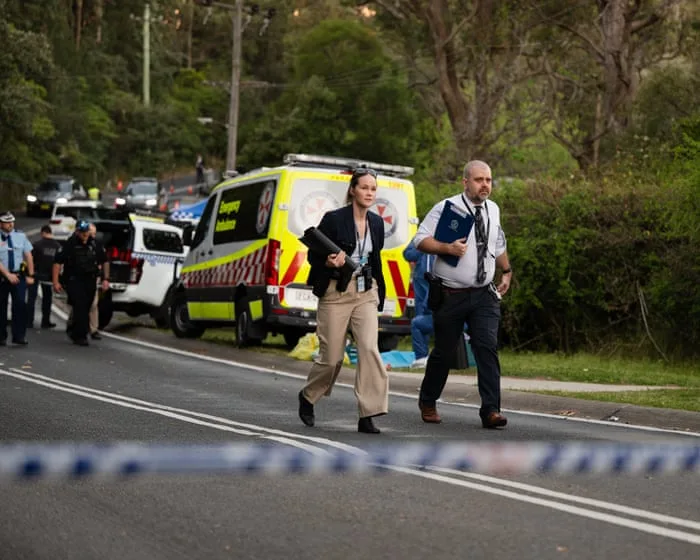 Police allege mother behind Blue Mountains stabbing attack on three children that left one dead