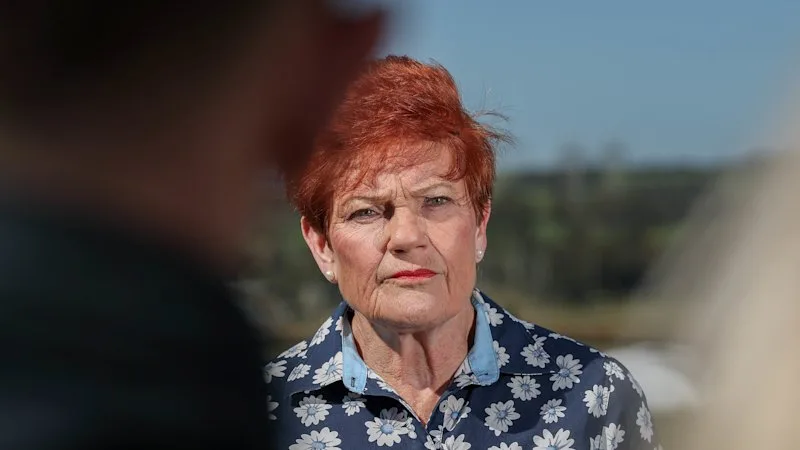 Look in the mirror: Labor heavyweight responds to Hanson’s ‘incitement’ claim
