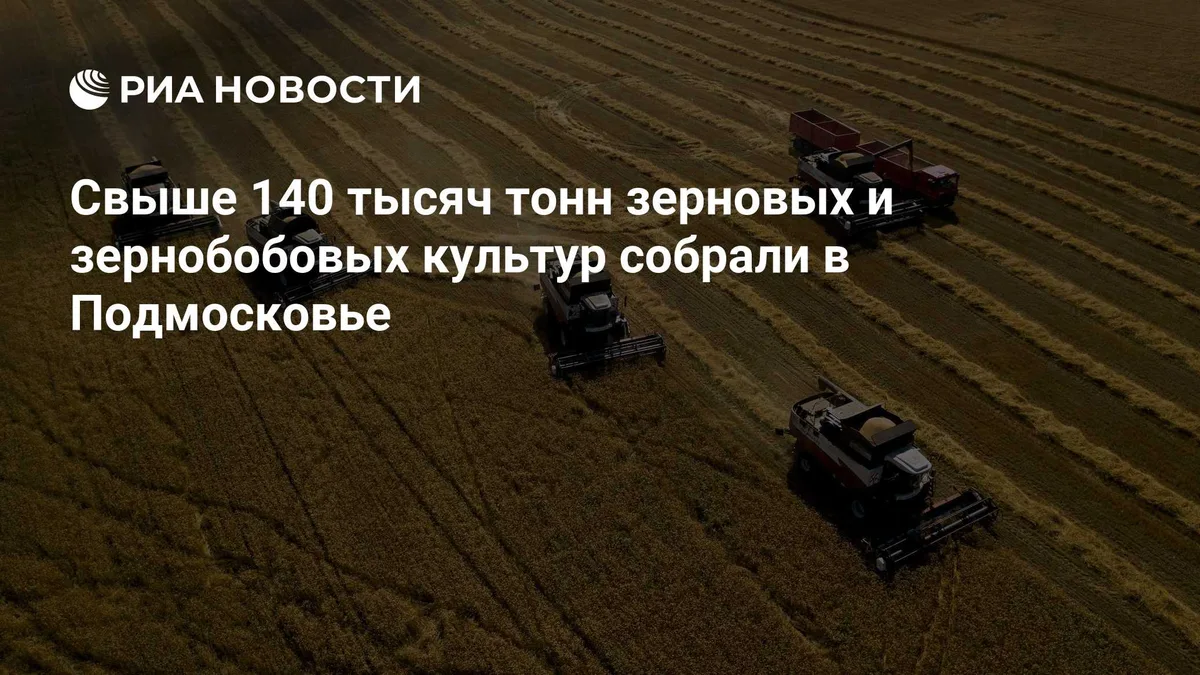 Свыше 140 тысяч тонн зерновых и зернобобовых культур собрали в Подмосковье