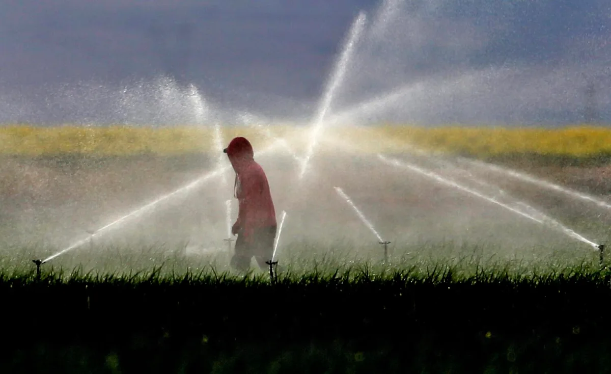 California to phase out paraquat, a powerful weedkiller associated with serious health issues