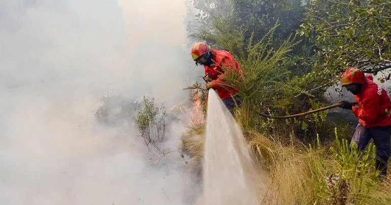 Lourinhã: quatro meios aéreos e 169 bombeiros combatem fogo