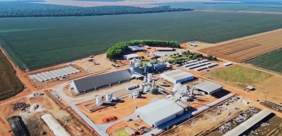 Não vai poder comparecer à Abertura Nacional do Plantio de Soja? Saiba como acompanhar!