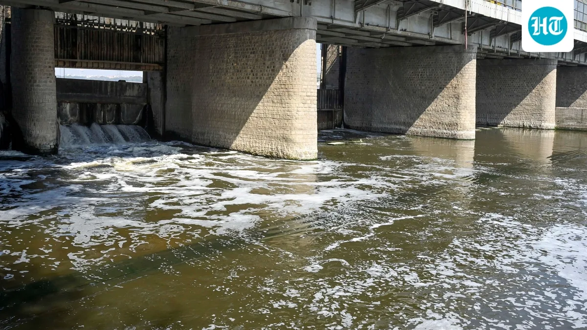 Body of Delhi teen who drowned in drain while chasing kite found after four days