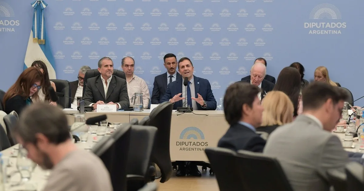 Diputados: el secretario de Trabajo defendió el Presupuesto y pidió ampliar el monotributo para combatir la informalidad