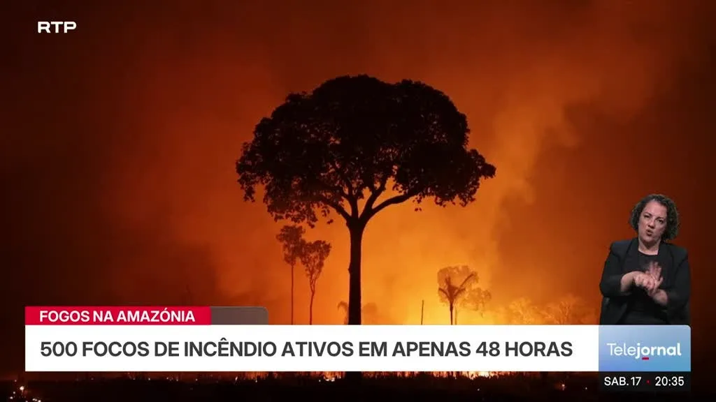 Brasil. Quase 1.600 fogos na Amazónia desde início de outubro