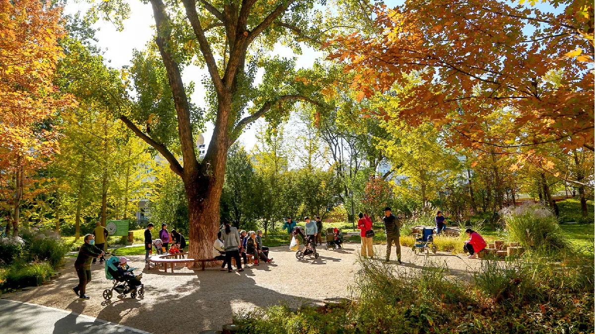 Beijing to build 100 gardens, villages for ancient trees by 2030
