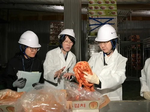 중국산 '포름알데히드 배추' 수입 안돼…통관 검사 지속