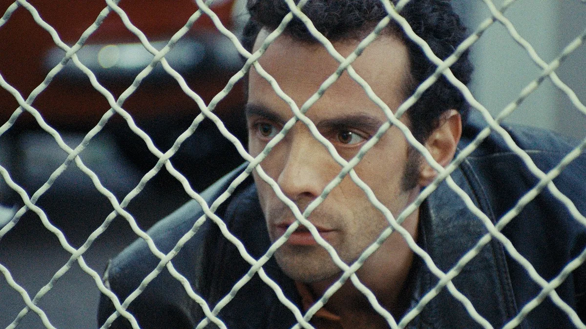 Óscares: já são conhecidos os pré-selecionados portugueses para Melhor Filme Internacional