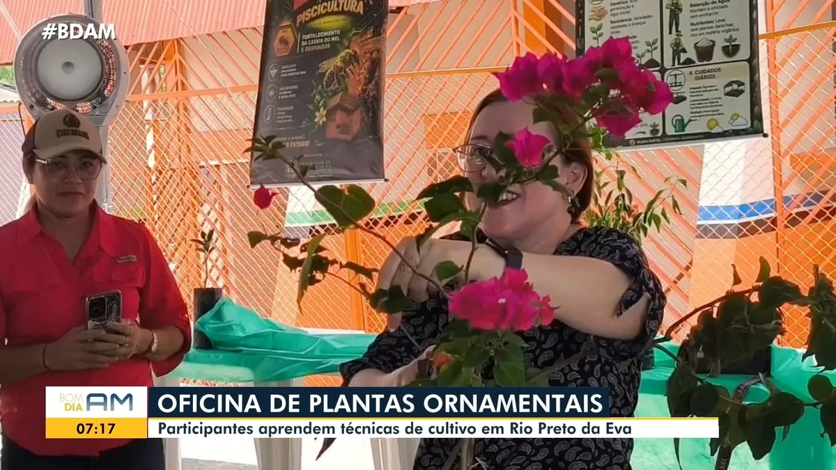 VÍDEOS: Bom Dia Amazonas desta quarta-feira, 2 de setembro de 2026