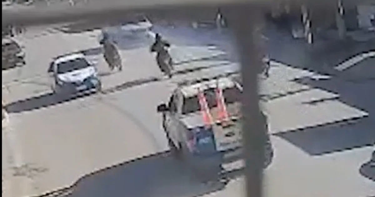 Marcha atrás y a contramano: cómo fue la persecución de película, con tiros y choques, de la policía de Neuquén para atrapar al conductor de una camioneta