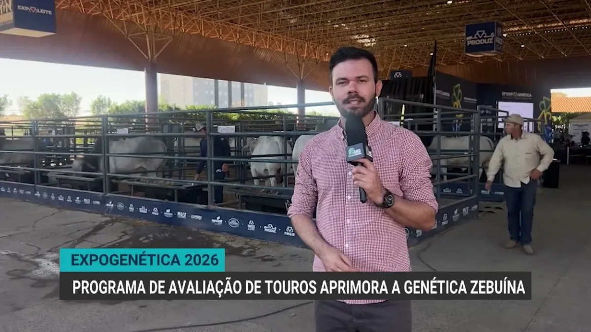 Expogenética 2026 destaca touros referência na genética zebuína