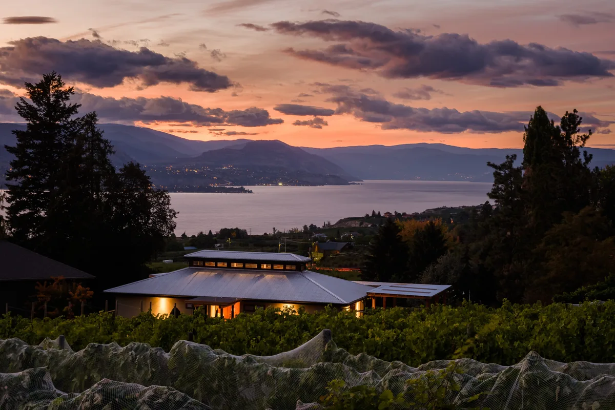 Small wineries enjoy big success at this year’s National Wine Awards of Canada