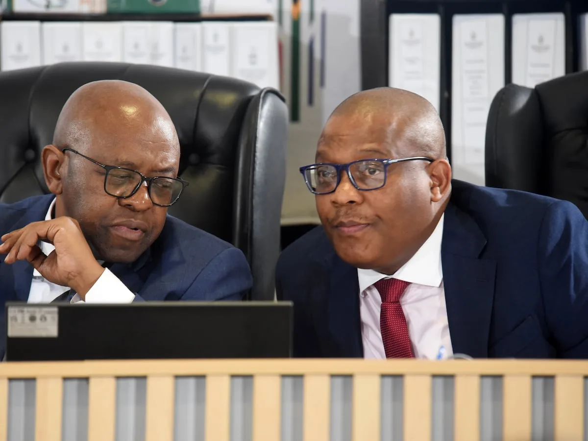 Expert tells Madlanga inquiry how to root out infiltration in criminal justice system