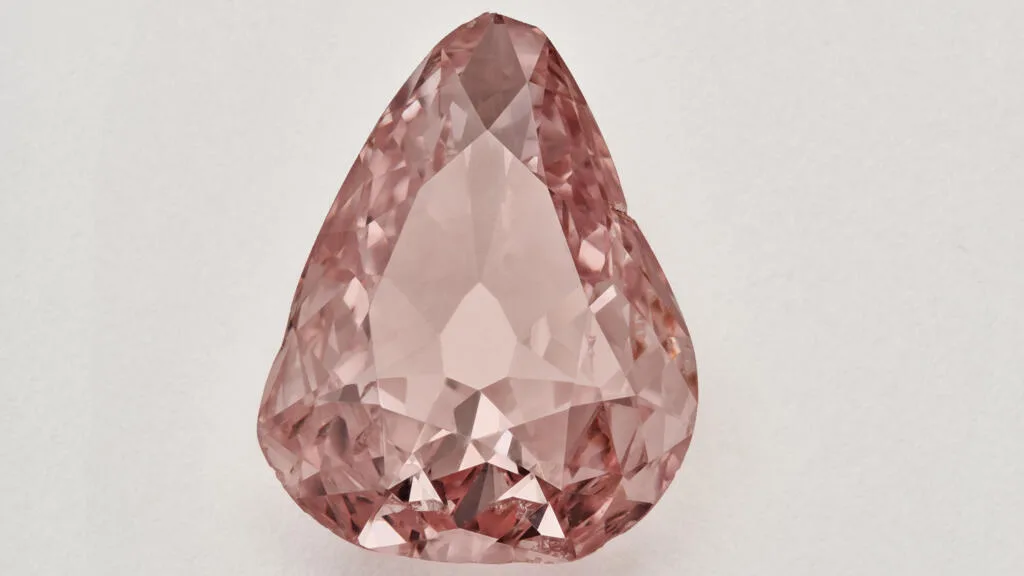 Un siècle après son vol, le diamant rose dévoile toute ses facettes au château de Chantilly