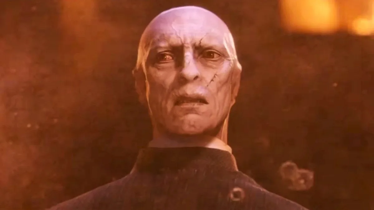 Harry Potter : la série a enfin trouvé l'interprète de Voldemort pour la saison 2... et ça met fin à une célèbre théorie de fans !