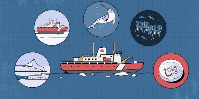 Quatre semaines à bord d’un brise-glace en vidéo : comment d’étranges organismes marins participent à la régulation du climat dans l’océan Arctique