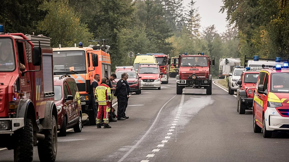 Europa combate incêndios florestais: Bélgica enfrenta maior fogo de sempre