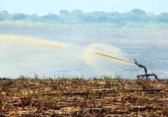 Da lavoura aos rios, estudo aponta risco de poluição da água em MS