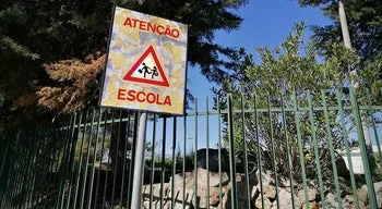 Aulas canceladas em várias escolas de Vagos devido a infestação de moscas