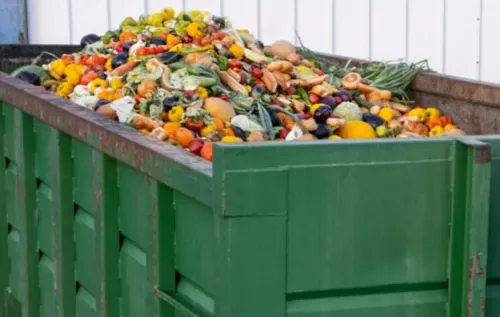 South Africa's paradox of hunger and food waste: millions go hungry while food rots