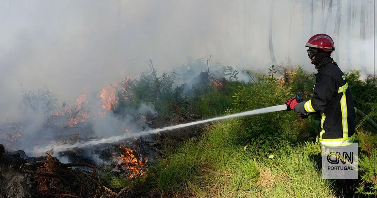 Incêndio que devastou 38 mil hectares em Espanha está estabilizado