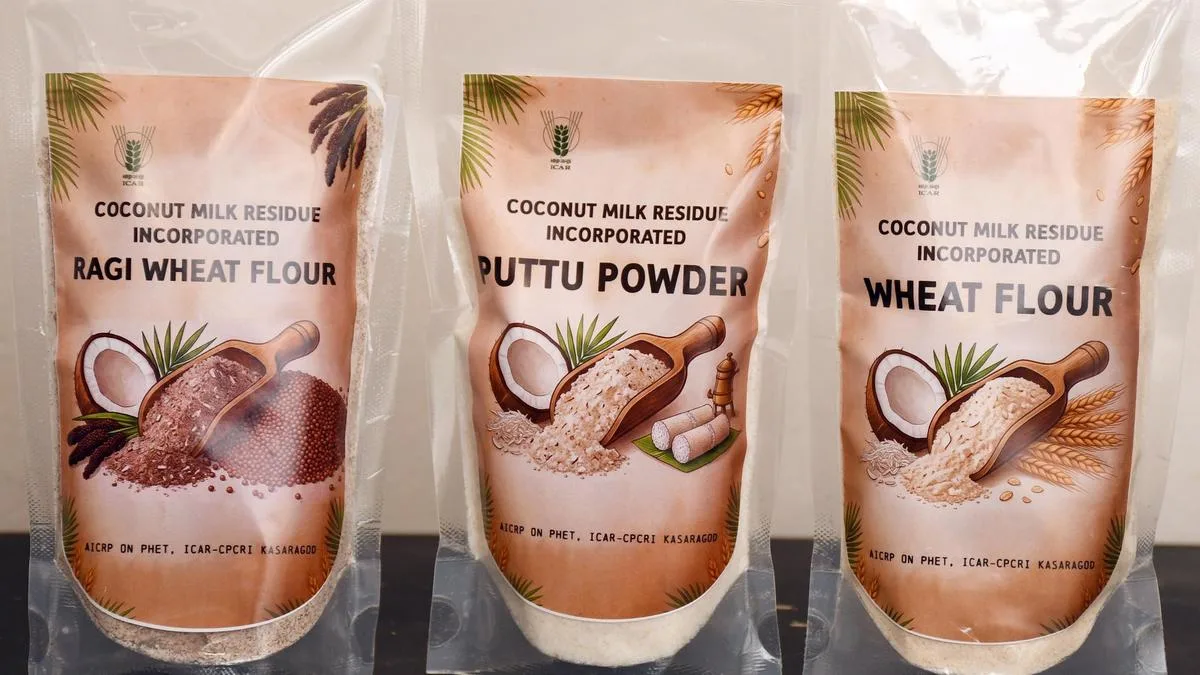 ICAR-CPCRI launches ‘Kalpa Composite Flour’, a coconut milk residue based food ingredient