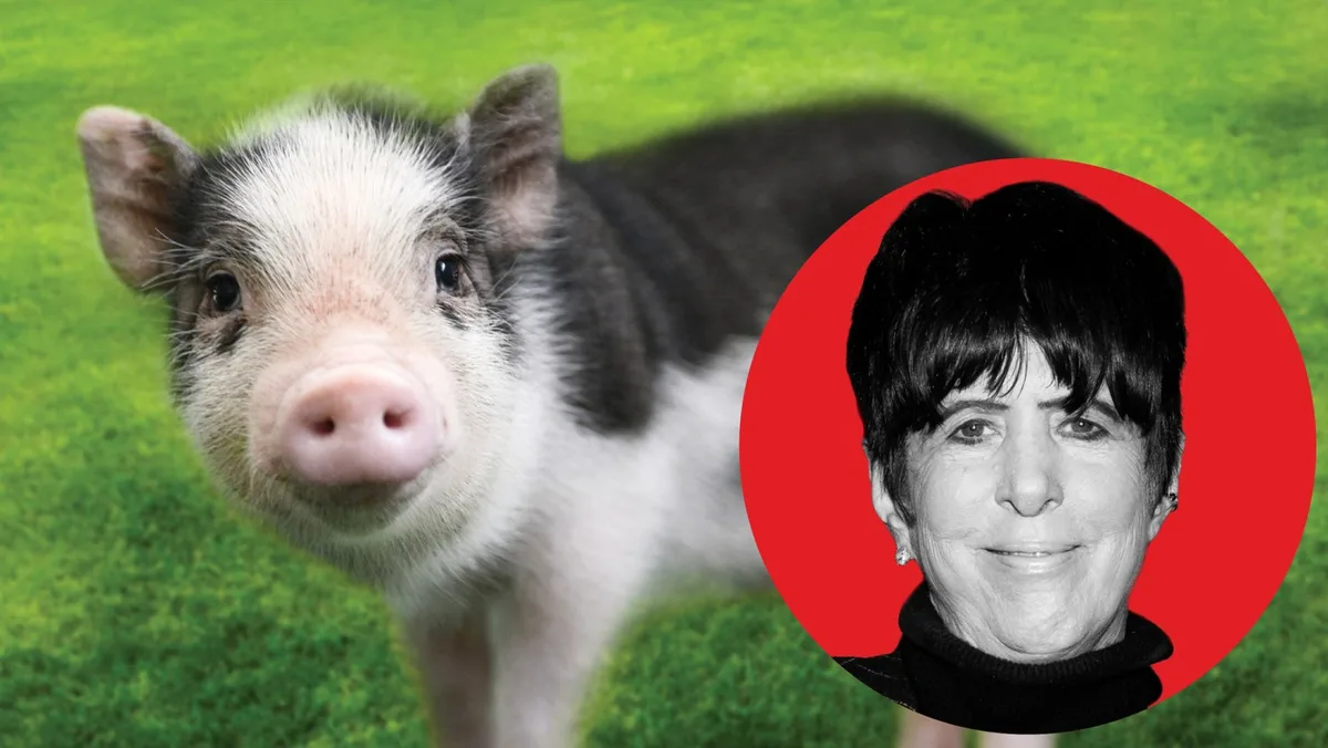 “I Lost 17 Oscars, But I Won a Pig”: How Diane Warren Saved Wilbur