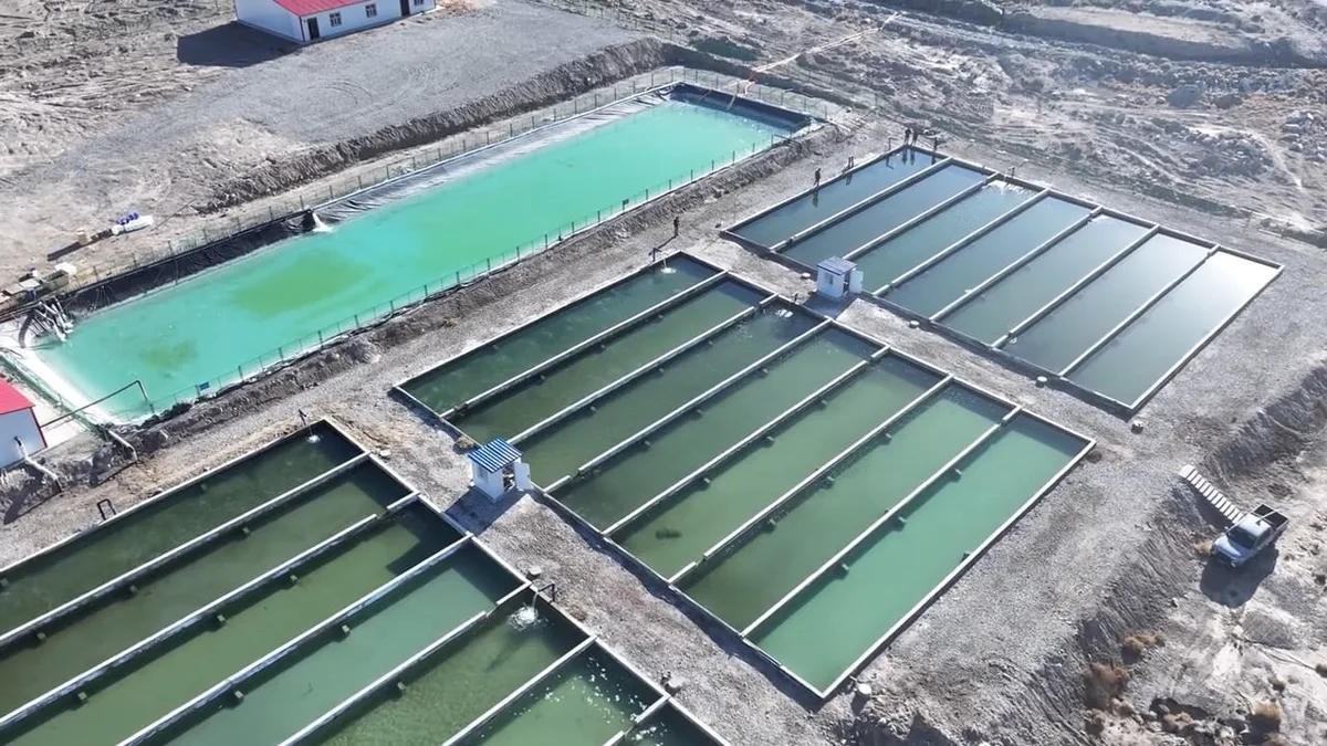 Fish farming in Xinjiang is being sold as proof that technology can overcome geography. The reality is more complicated
