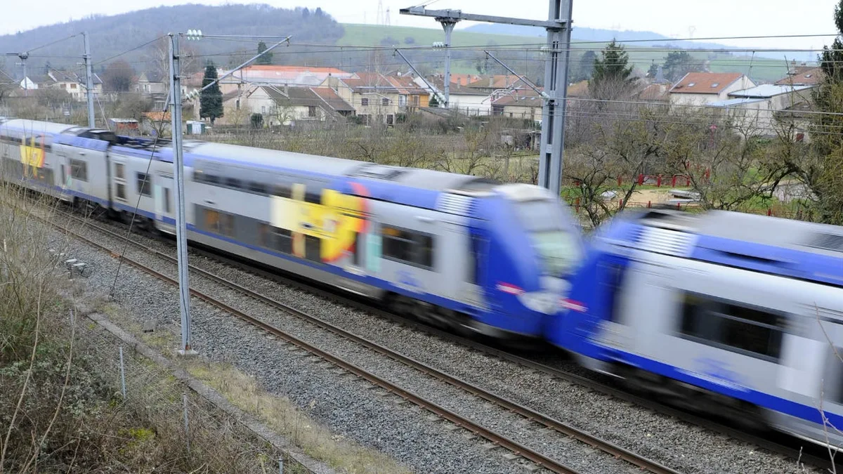Une voiture percutée par un TER près de Toulouse, le trafic fortement perturbé