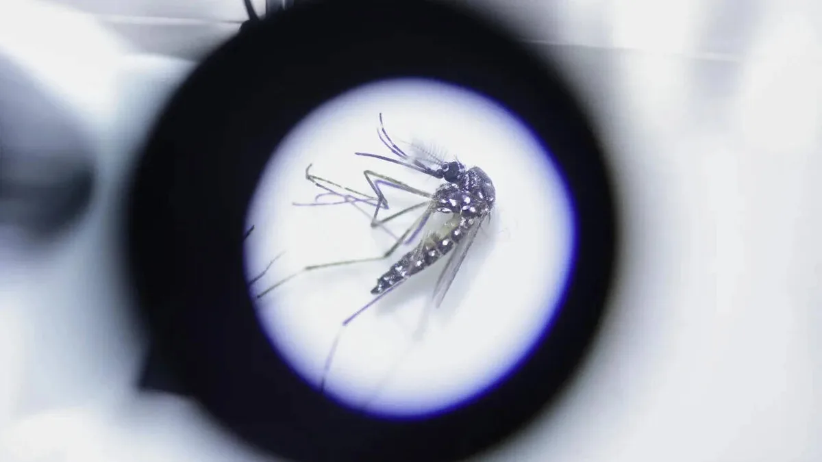 Northeast faces new vector threat as diseases spread to new areas: Health panel