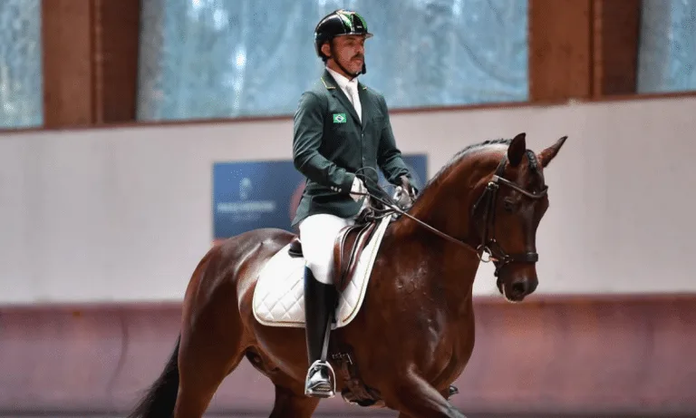 Stephan Barcha fica em 17º lugar na final de Saltos no Mundial em Aachen
