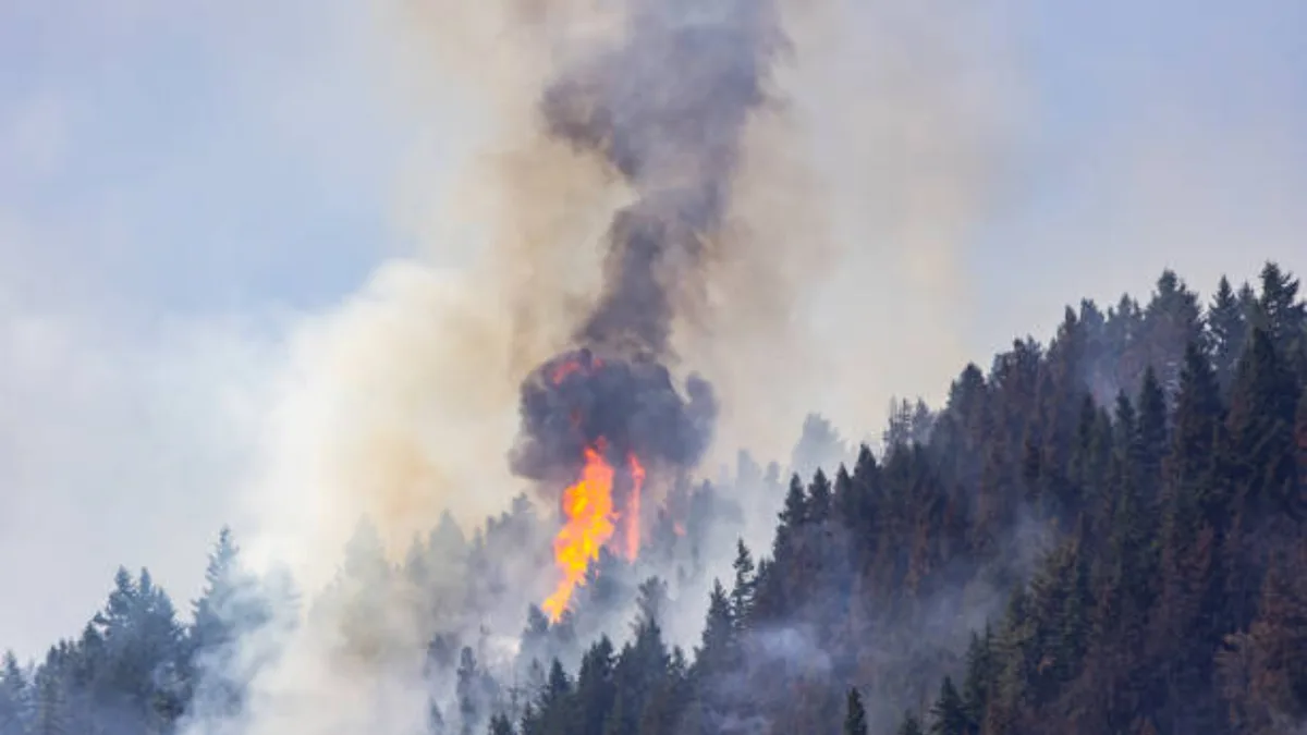 Washington town burns 500 forest acres to build shield against future wildfires