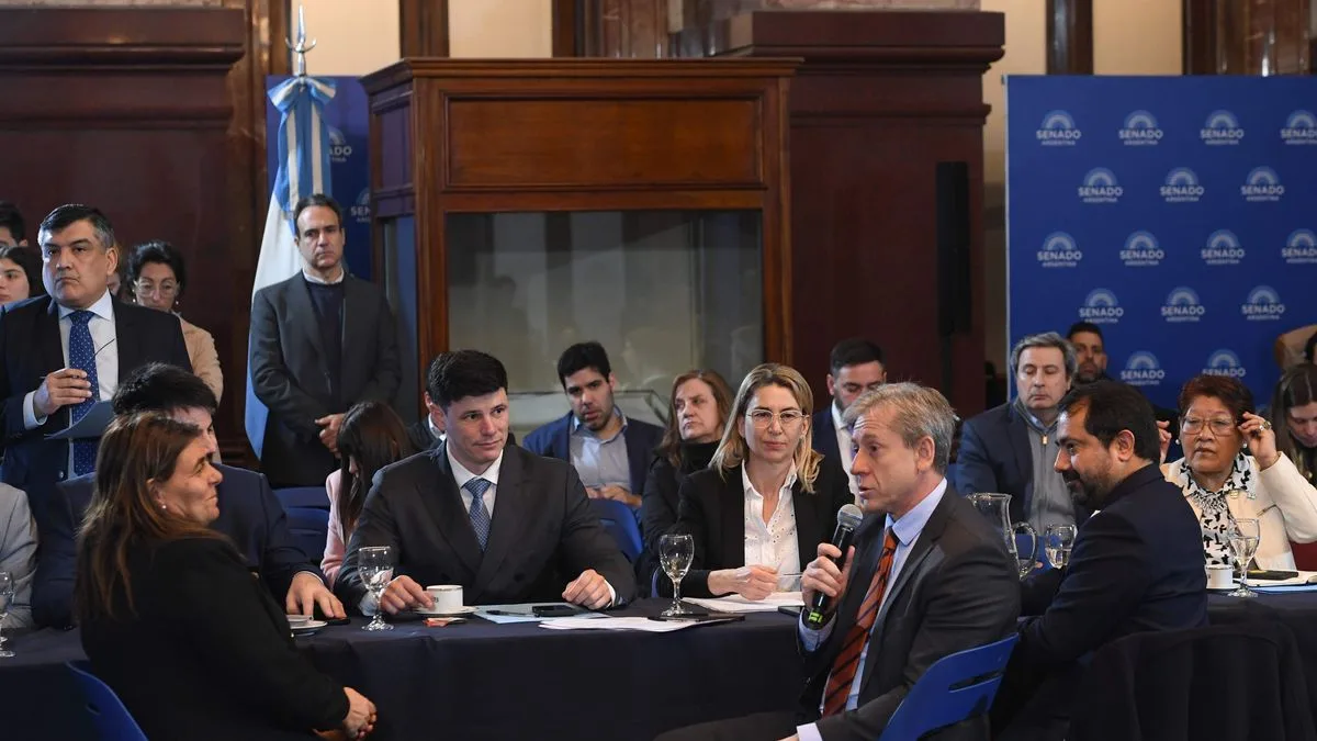 El Senado avanza con un nuevo régimen para las inversiones, esta vez con impulso radical