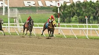 Conoce el tiro a la perfección y va livianito: La carta con todo a favor en la cuarta carrera de La Rinconada