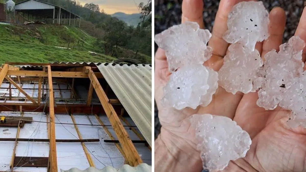 Sete municípios decretam situação de emergência em SC após temporais com granizo; Defesa Civil entrega mais de 43 mil itens de ajuda em menos de 24 horas