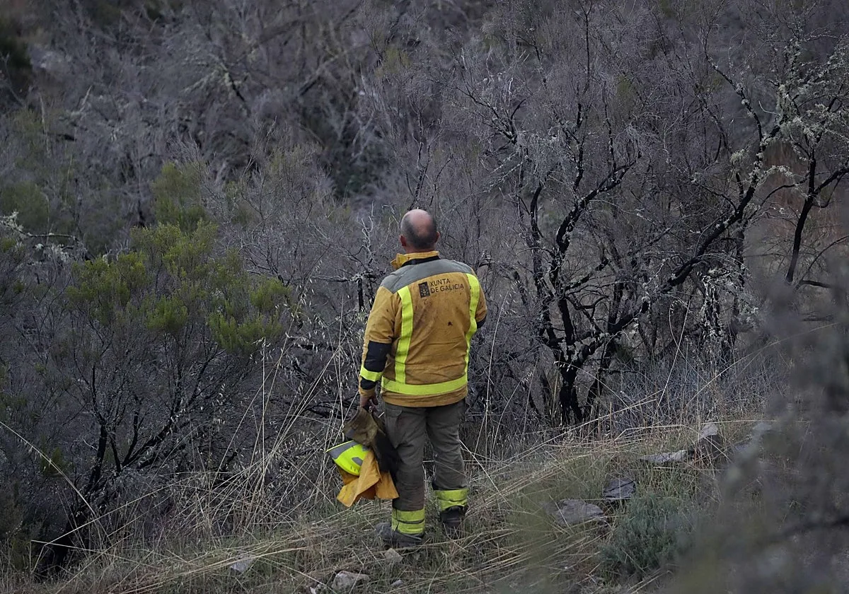 Un detenido como supuesto autor de un incendio en Ponteareas (Pontevedra) que afecta a unas 3 hectáreas